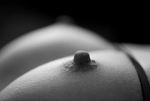 Chapitre 4 : Patience et sensation