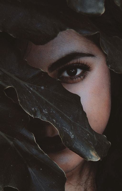 Forêt Sauvage |  Histoires luxuriantes