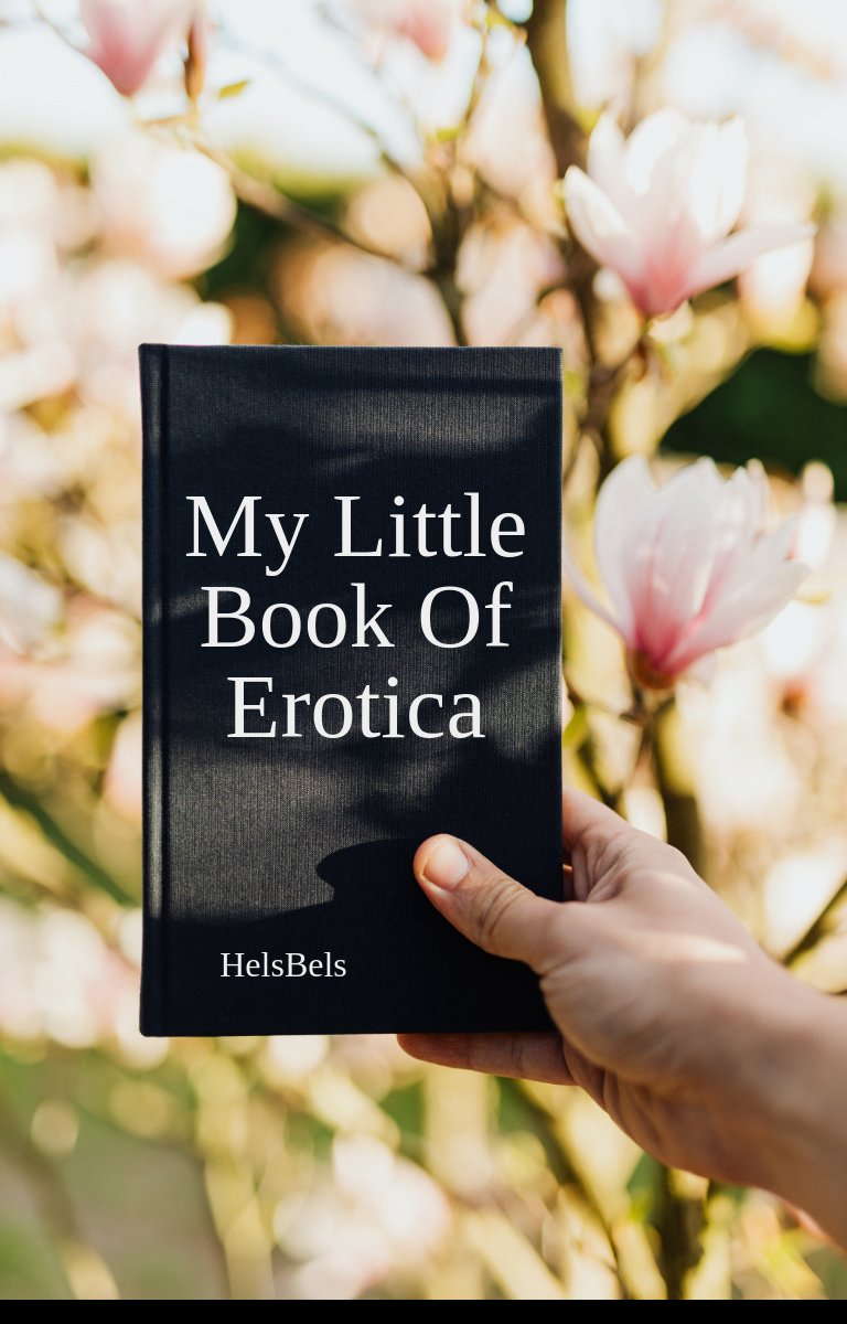 Mon petit livre d'érotisme