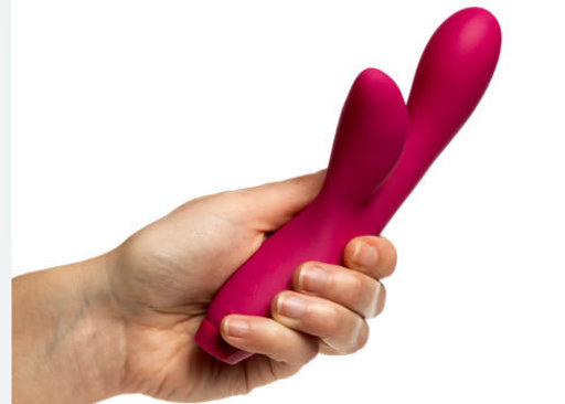 Les préparatifs des fêtes de Louise