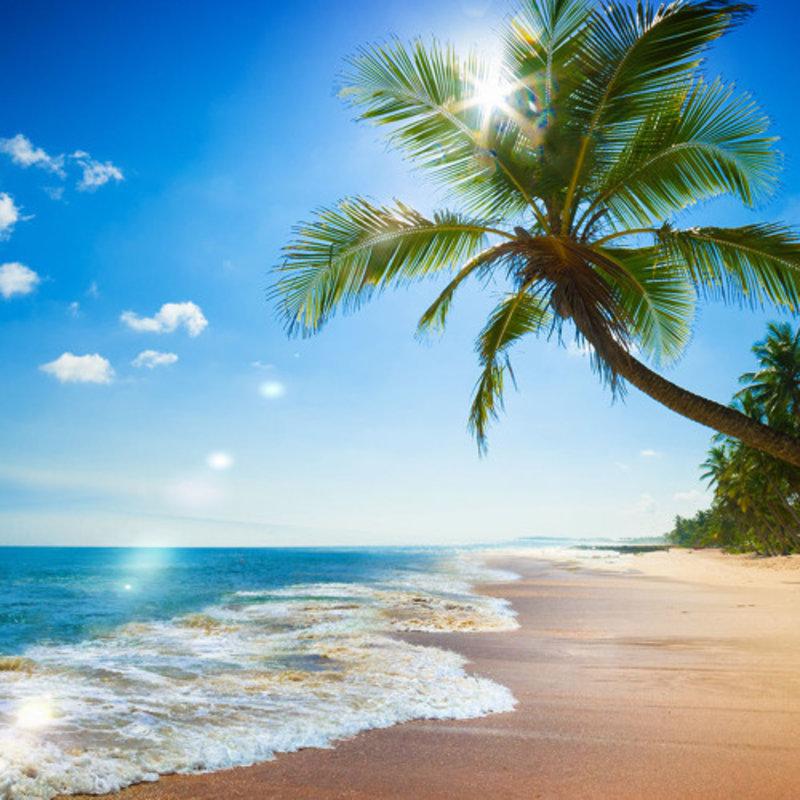 Beach Bum - Partie 1