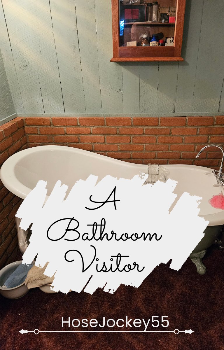 Un visiteur de salle de bain