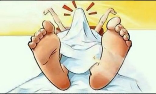 Morning Wood