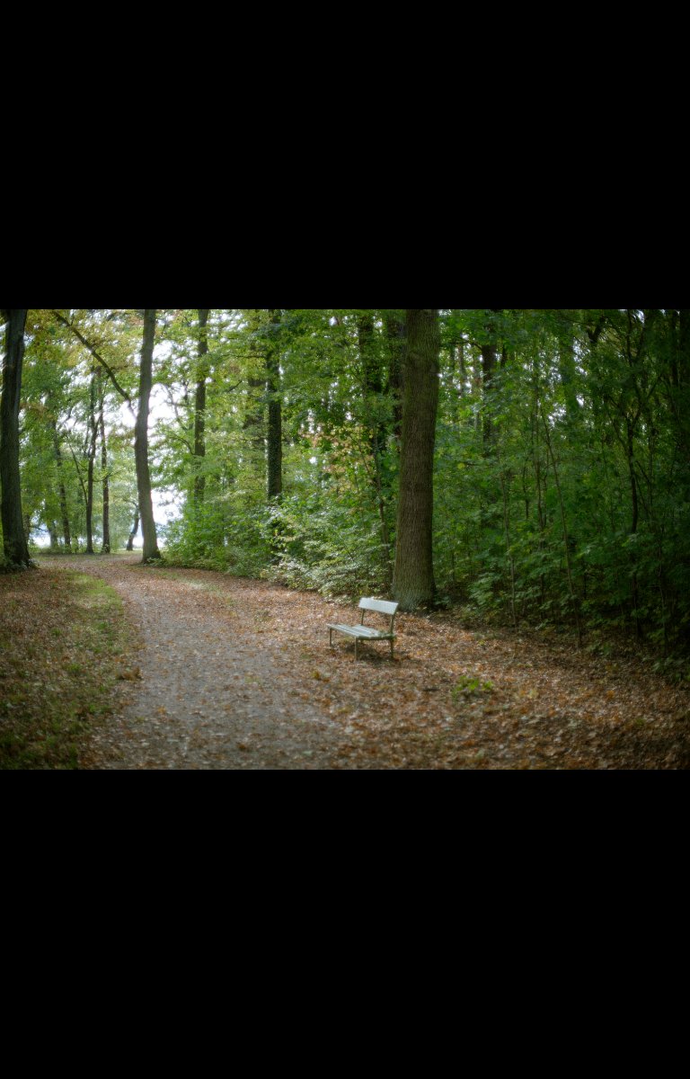 Bébé dans les bois, partie 3