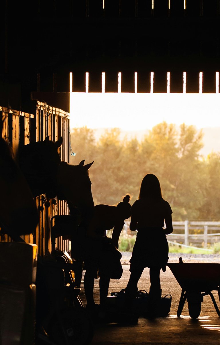 The Ranch - Day Two Part 1