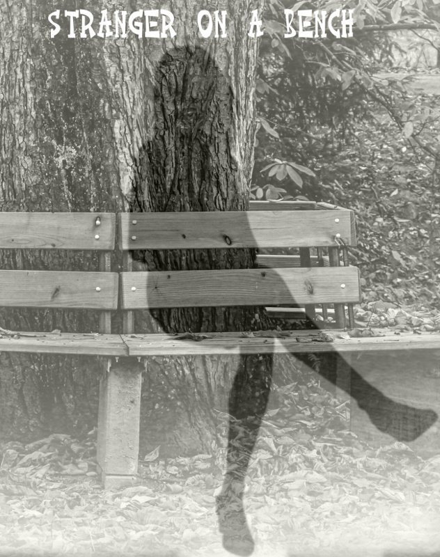Étranger sur un banc 4