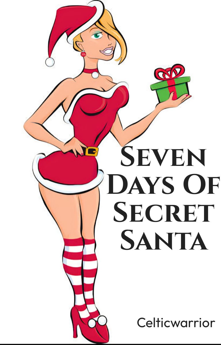 Sept jours de Père Noël secret