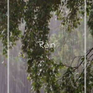 Pluie | Histoires luxuriantes