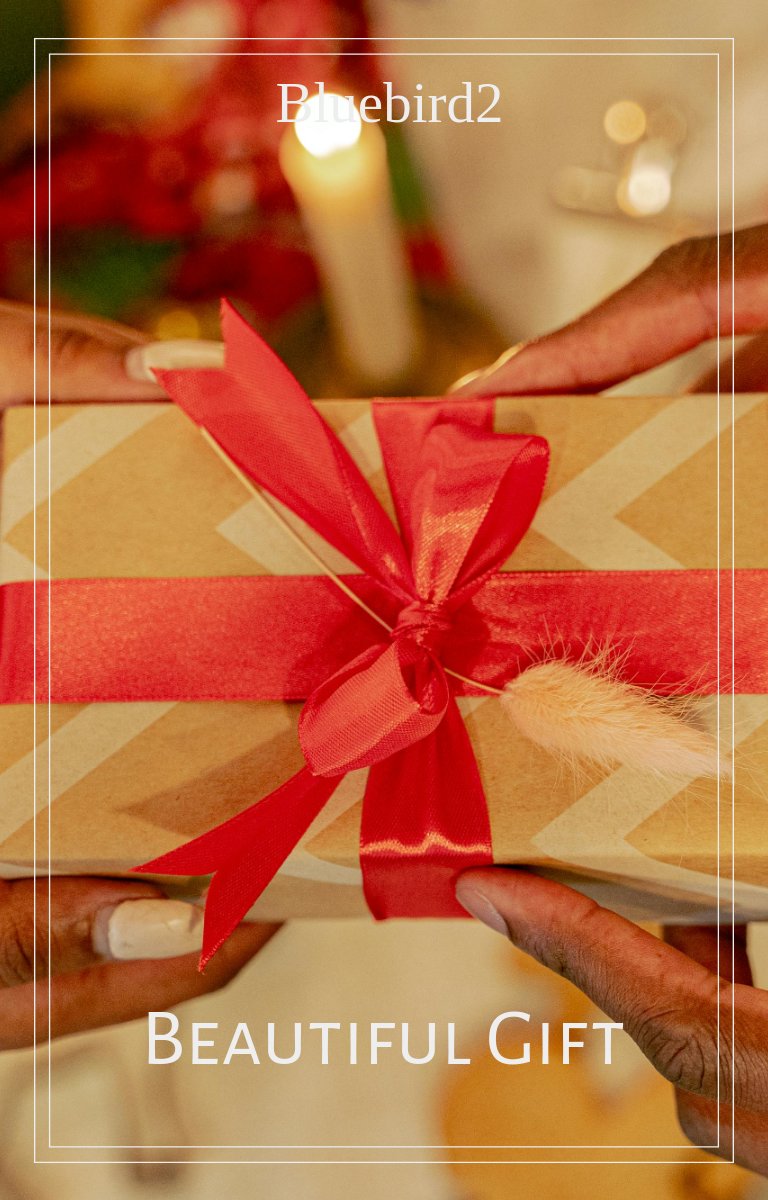 Beau cadeau | Histoires luxuriantes