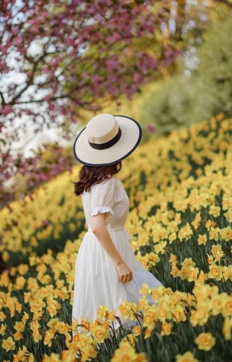 Marcher parmi les jonquilles | Histoires luxuriantes