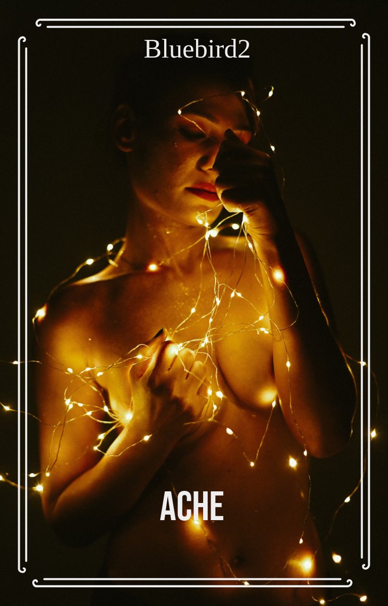 Mal | Histoires luxuriantes