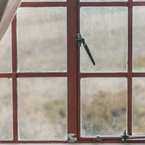 Bonjour | Histoires luxuriantes
