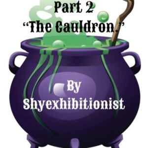 Réflexion Partie 2 « Le Chaudron »
