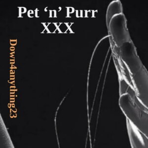 Une application pour ça : One, Pet 'n' Purr